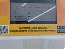 платежный терминал билайн в Санкт-Петербурге