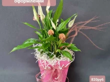 магазин цветов Flowershop31 в Белгороде