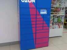 автоматизированный пункт выдачи Ozon box в Тольятти