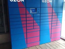 автоматизированный пункт выдачи Ozon box в Щербинке