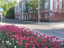 Благоустройство улиц Благоустройство и озеленение г. Барнаула в Барнауле