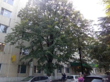 филиал в г. Краснодаре РСХБ-Страхование в Краснодаре