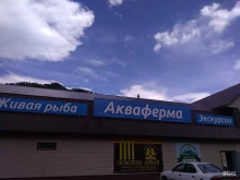 акваферма Осетр 04 в Республике Алтай