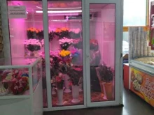 Craft, Студенческая улица, 8 