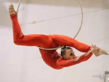 студия танцев и воздушной гимнастики Полерина в Москве