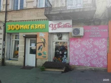 Зоотовары Зоомагазин в Махачкале