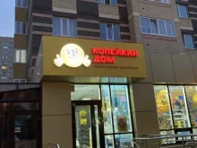 магазины хозяйственных товаров и бытовой химии Копейкин Дом в Ставрополе