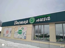магазин Высшая лига в Костроме