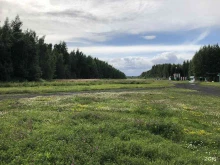 авиаклуб Дельфин в Санкт-Петербурге