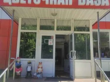 цветочная база Солнечный ветер в Воскресенске