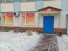 центр развития детей Планета киис в Екатеринбурге