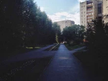 компания-производитель рулонного газона Парк Декор в Тюмени