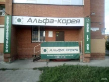 магазин запчастей для корейских автомобилей Альфа-Корея в Красноярске
