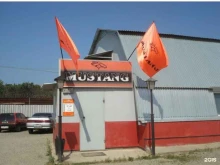 автоцентр Mustang в Благовещенске