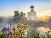 Храмы / Соборы / Церкви Храм Покрова на Нерли в Владимире