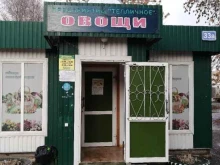 магазин Тепличный в Саранске