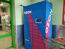 автоматизированный пункт выдачи OZON Box в Казани