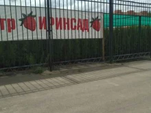 садовый центр Иринсад в Голицыно
