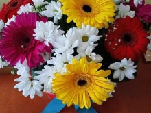 сеть салонов цветов и подарков Гранд При в Архангельске