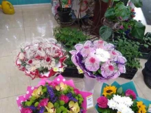 магазин цветов и товаров для сада Гатчинская оранжерея в Гатчине