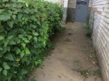 станция проката беспроводных зарядных устройств для смартфонов Бери заряд в Рязани