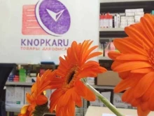 интернет-магазин товаров для офиса Knopkaru.ru в Саранске