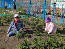 Детские сады Олененок в Норильске