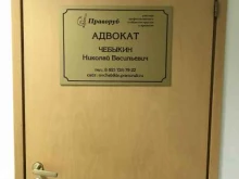 Ведение дел в судах Адвокатский кабинет Чебыкина Н.В. в Мурманске