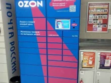 постамат №6748 Ozon Box в Кирове
