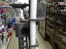 Чеширский кот, Железнодорожная улица, 18 