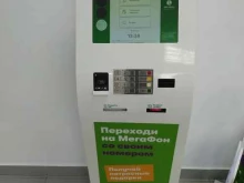 Мегафон, проспект Просвещения, 74 к2 