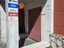 Campo dinamico, Газеты Звезда, 8 