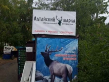 салон пантовой и фитопродукции Алтайский марал в Республике Алтай