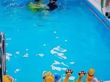 международная школа плавания Кроль в Красноярске