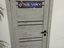 вокальная студия N.B. Voice в Новом Уренгое