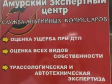 Автоэкспертиза Амурский экспертный центр в Благовещенске