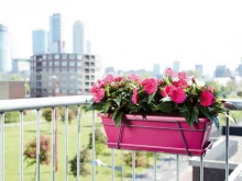 фирма по устройству городского садоводства Вазон Балкон в Тольятти