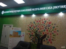 Общественные организации Целевой фонд будущих поколений Республики Саха (Якутия) в Якутске