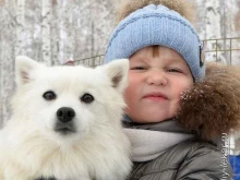 многопородный экопитомник Белый лекарь в Магнитогорске