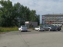 Семена / Посадочный материал Магазин цветов в Березниках