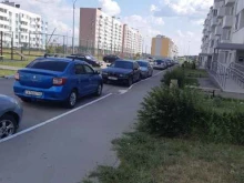 Продажа готового бизнеса / франшиз Рыжий Кот в Самаре