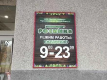 мини-маркет Росинка в Черноголовке