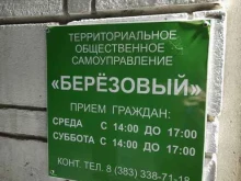 территориальное общественное самоуправление Берёзовый в Новосибирске