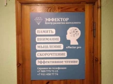 центр развития интеллекта Эффектор в Калининграде
