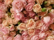 Услуги праздничного оформления Flowers and Gifts в Сочи
