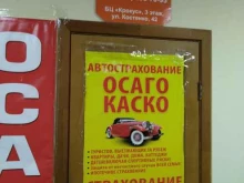 Страхование Страховая компания в Ельце