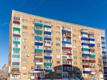 зоолавка Котопес в Сарапуле