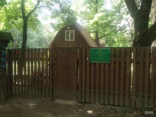 детский экологический центр Красная Сосна в Москве