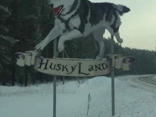 компания по организации катания на собачьей упряжке Huskyland в Кемерово