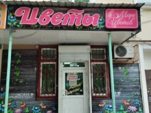 цветочный салон В мире цветов в Белогорске